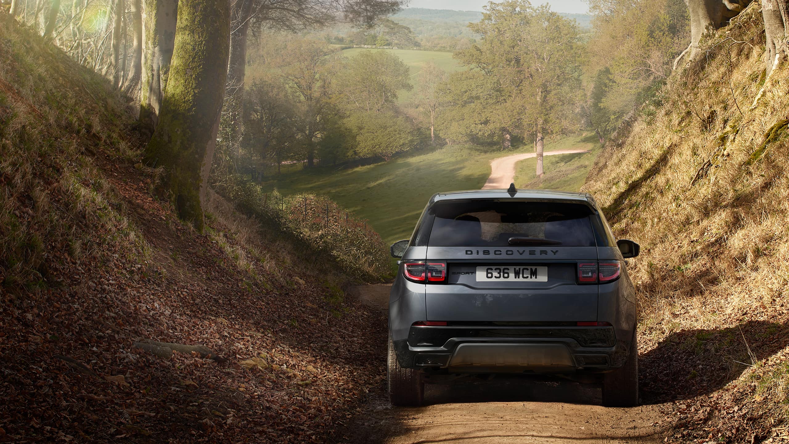 Discovery driving in forest off road
